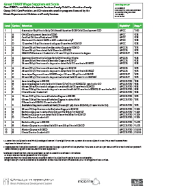 View Wage Supplement PDF